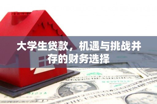舞钢大学生贷款，机遇与挑战并存的财务选择