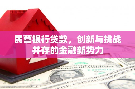 舞钢民营银行贷款，创新与挑战并存的金融新势力