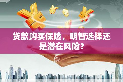 舞钢贷款购买保险，明智选择还是潜在风险？