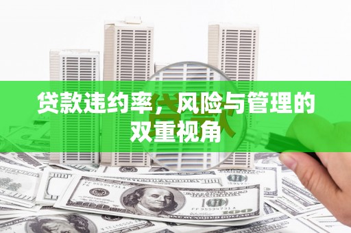 舞钢贷款违约率，风险与管理的双重视角