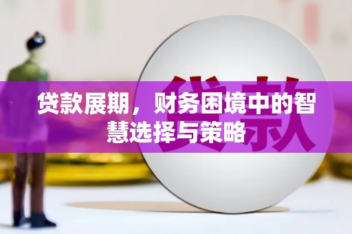 舞钢贷款展期，财务困境中的智慧选择与策略