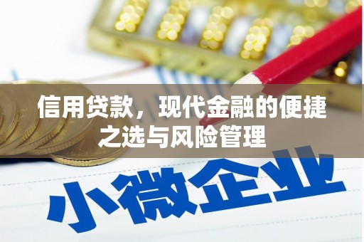 舞钢信用贷款，现代金融的便捷之选与风险管理