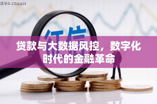 舞钢贷款与大数据风控，数字化时代的金融革命