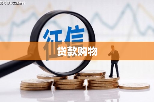 舞钢贷款购物