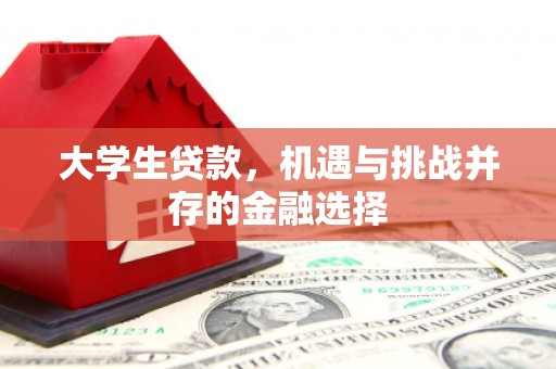 舞钢大学生贷款，机遇与挑战并存的金融选择