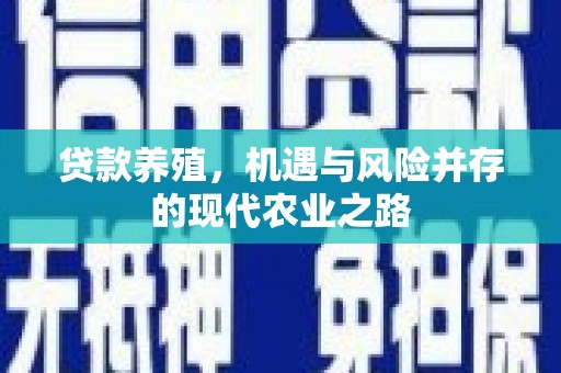 舞钢贷款养殖，机遇与风险并存的现代农业之路