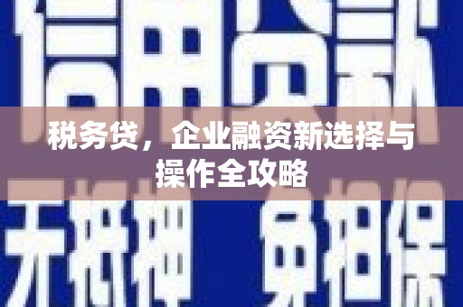 舞钢税务贷，企业融资新选择与操作全攻略