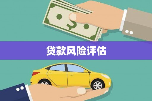 舞钢贷款风险评估