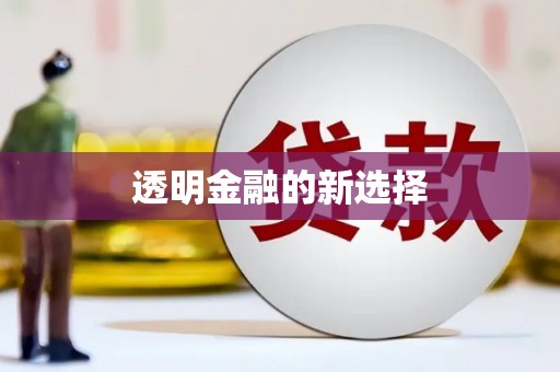 舞钢透明金融的新选择