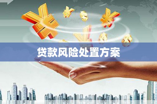 舞钢贷款风险处置方案