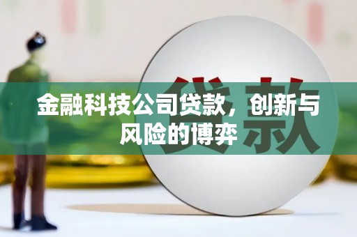 舞钢金融科技公司贷款，创新与风险的博弈