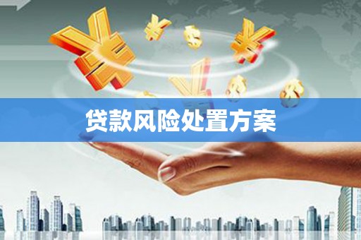 舞钢贷款风险处置方案