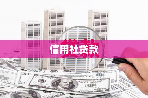 舞钢信用社贷款