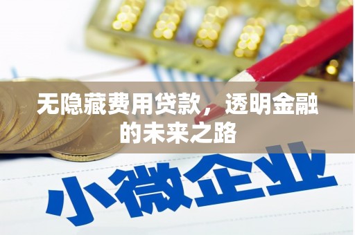 舞钢无隐藏费用贷款，透明金融的未来之路