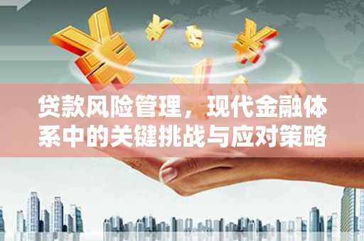 舞钢贷款风险管理，现代金融体系中的关键挑战与应对策略
