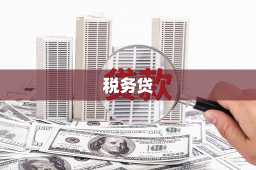舞钢税务贷
