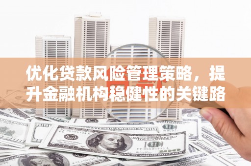 舞钢优化贷款风险管理策略，提升金融机构稳健性的关键路径