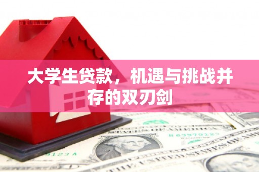 舞钢大学生贷款，机遇与挑战并存的双刃剑