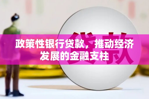 舞钢政策性银行贷款，推动经济发展的金融支柱