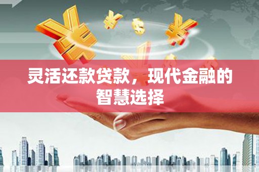 舞钢灵活还款贷款，现代金融的智慧选择