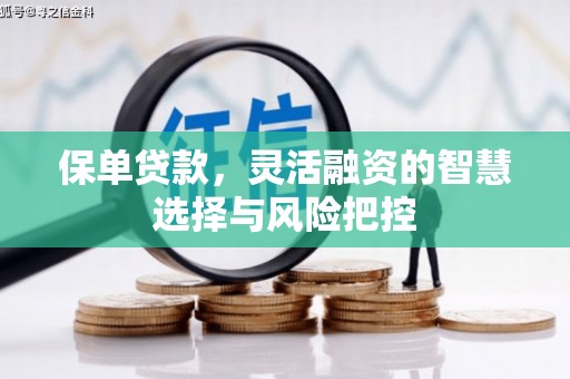 舞钢保单贷款，灵活融资的智慧选择与风险把控
