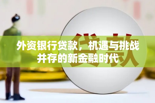 舞钢外资银行贷款，机遇与挑战并存的新金融时代