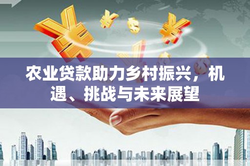 舞钢农业贷款助力乡村振兴，机遇、挑战与未来展望