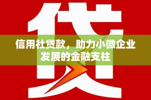 舞钢信用社贷款，助力小微企业发展的金融支柱