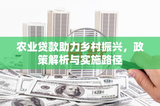 舞钢农业贷款助力乡村振兴，政策解析与实施路径