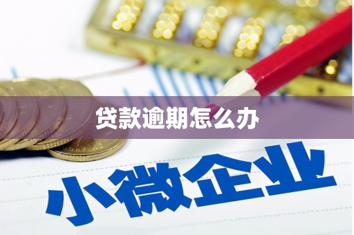 舞钢贷款逾期怎么办
