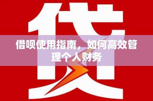 舞钢借呗使用指南，如何高效管理个人财务
