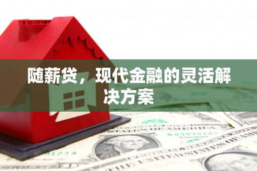 舞钢随薪贷，现代金融的灵活解决方案