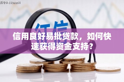 舞钢信用良好易批贷款，如何快速获得资金支持？