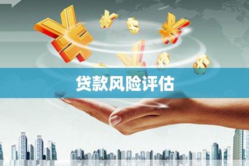 舞钢贷款风险评估