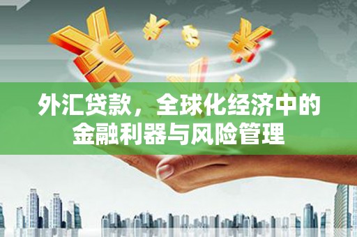 舞钢外汇贷款，全球化经济中的金融利器与风险管理