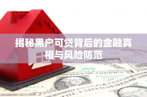 舞钢揭秘黑户可贷背后的金融真相与风险防范