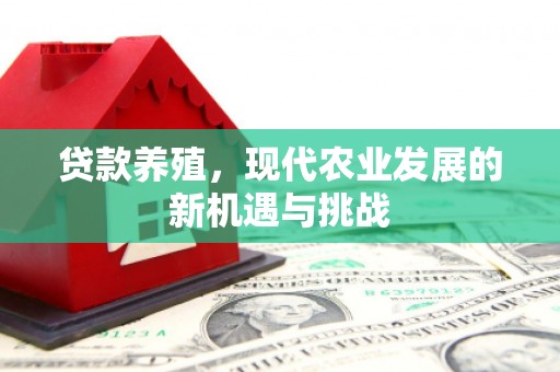 舞钢贷款养殖，现代农业发展的新机遇与挑战