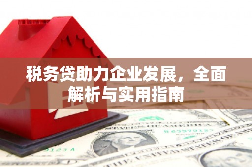 舞钢税务贷助力企业发展，全面解析与实用指南