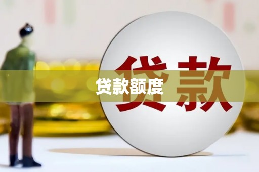 舞钢贷款额度