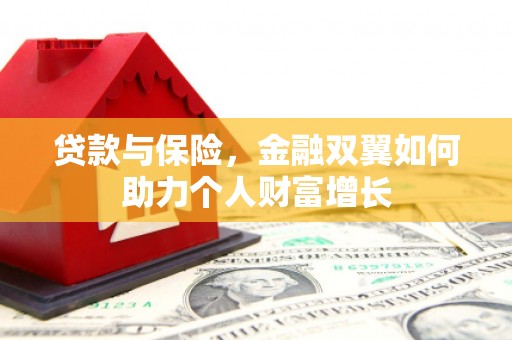 舞钢贷款与保险，金融双翼如何助力个人财富增长