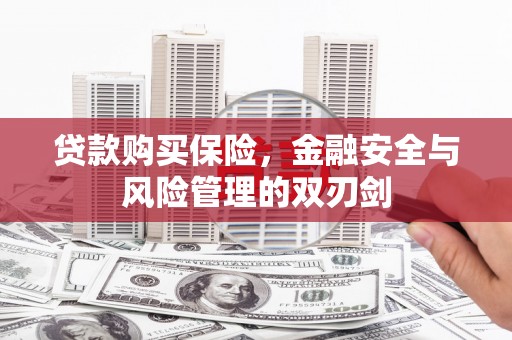 舞钢贷款购买保险，金融安全与风险管理的双刃剑