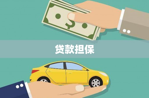 舞钢贷款担保