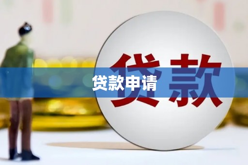 舞钢贷款申请