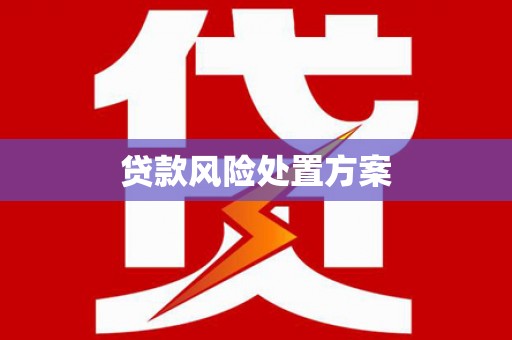舞钢贷款风险处置方案