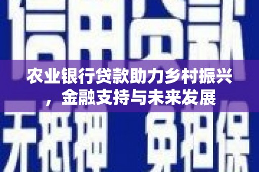 舞钢农业银行贷款助力乡村振兴，金融支持与未来发展