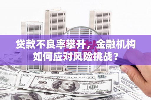 舞钢贷款不良率攀升，金融机构如何应对风险挑战？