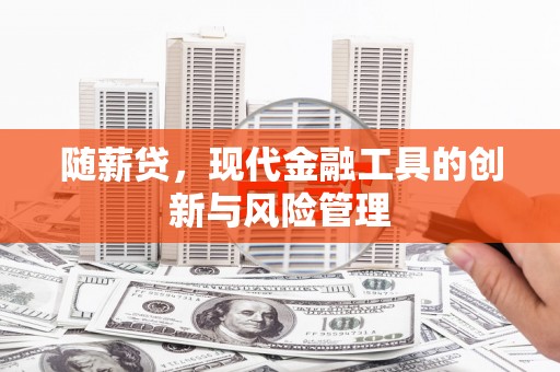 舞钢随薪贷，现代金融工具的创新与风险管理