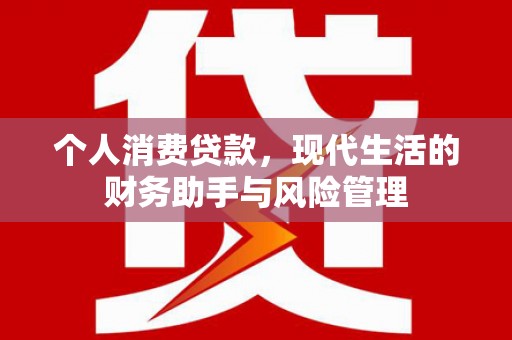 舞钢个人消费贷款，现代生活的财务助手与风险管理