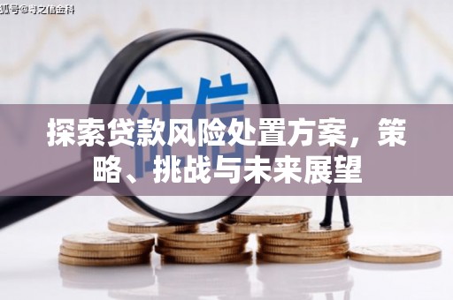 舞钢探索贷款风险处置方案，策略、挑战与未来展望