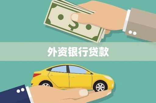 舞钢外资银行贷款